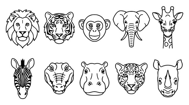 Animals with Detailed Faces in a Line-Up Illustration Featuring Lion, Tiger, Monkey with Elephant and Giraffe Elements for Zebra