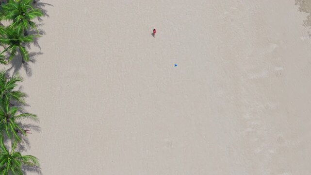 Daytime Aerial Drone Top Down Tracking View of Woman Walking on Sandy Tropical Beach