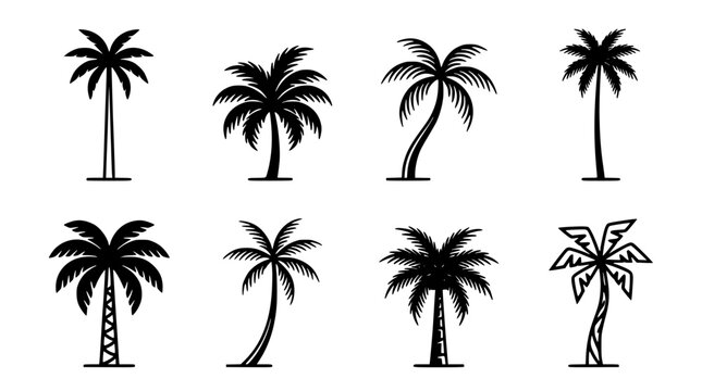 Palm Tree Icon Set in Black Silhouette Style on White Background for Tropical Beach Design Concept Featuring Palmtree, Palms
