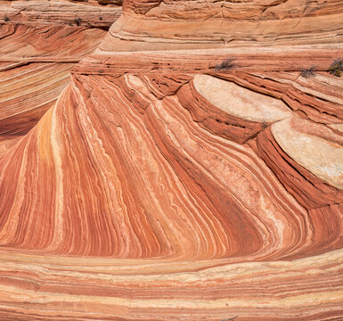 The Wave - Coyote Buttes North - Paria Canyon - Vermilion Cliffs Wilderness on the Arizona and Utah border