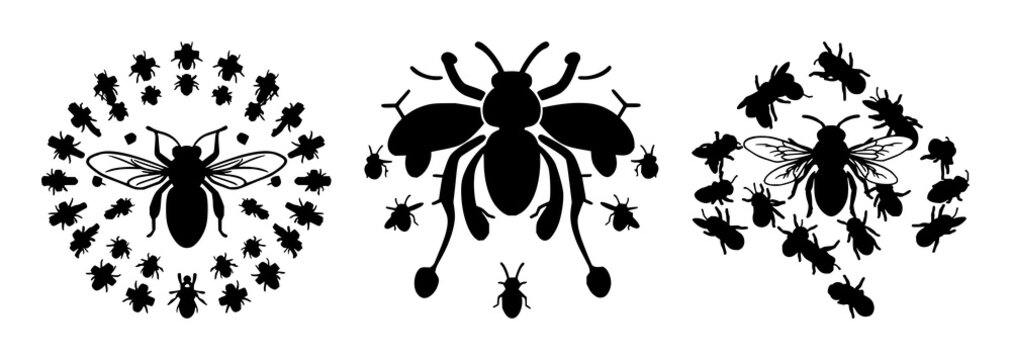 Bee swarm set with solid black icon on white background featuring swarm intelligence, bee icons, minimalist illustration with vector and design