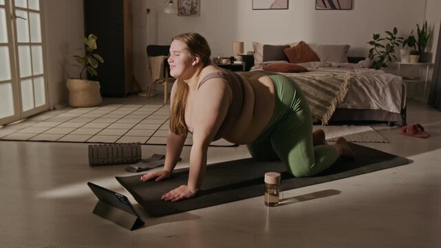 Plus-size young adult Caucasian woman performing yoga cat-cow stretch on mat while watching online tutorial on tablet. Video is suitable for body positivity and home wellness campaigns