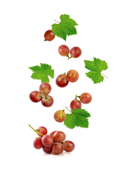 Falling Red Grapes with Green Leaves Isolated on white background.