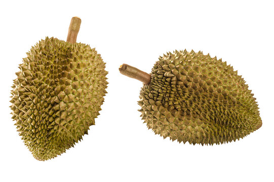 Durian isolated on white background