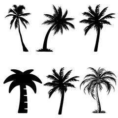 Fototapeta premium Set of stylized palm tree silhouettes on transparent background for tropical design projects