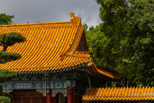 Traditional chinese temple roof with lush green trees in background