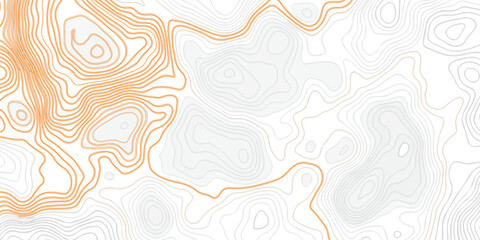 Abstract grid landscape topography white background. white and black relief line wireframe isoline location diagram world map texture design.   © MOHAMMAD
