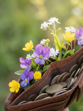 Savings plan concept with coins in leather wallet and colorful flowers blooming, symbolizing growth and financial care in nature