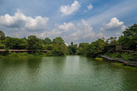 A serene view of a tropical lake at River Wonders wildlife park in Singapore, surrounded by lush green foliage and trees.