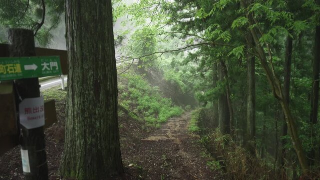 Choishimichi Pilgrimage Route &ndash; 37th Choishi Milestone in Koyasan, Koya Town, Wakayama Prefecture「高野参詣 町石道・37町石」和歌山県高野町