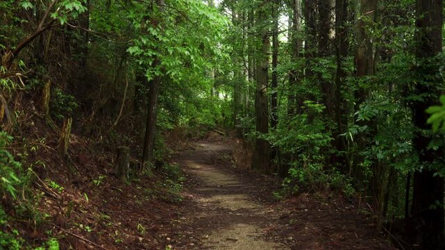 Choishimichi Pilgrimage Route &ndash; Yonri-ishi Milestone in Koyasan, Koya Town, Wakayama Prefecture「高野参詣道町石道・四里石」和歌山県高野町