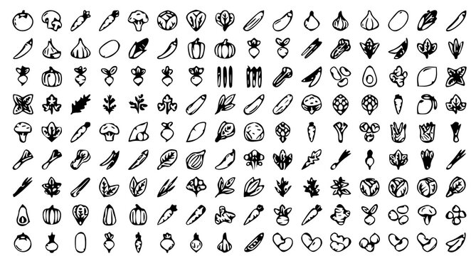 Vegetables and herbs outline icon set with mushroom tomato and fresh food symbols vector