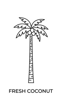 A simple black and white line art illustration of a tall coconut palm tree.
