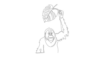 Single line drawing of an orangutan holding a large leaf above its head © Vector