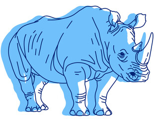 Fototapeta premium A White Rhinoceros Standing (Three-Quarter View), Sketch-Style Line Illustration with Blue Shading