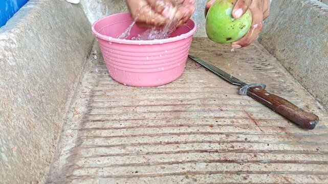 Close up of hands washing and scrubbing green mangoes in a concrete sink