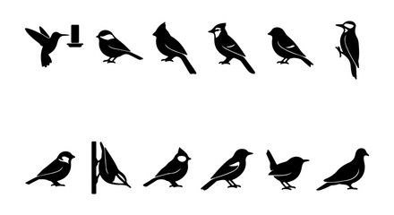 Vector Bird Silhouettes Collection: Hummingbird, Cardinal, Woodpecker, Dove Icons © Aktar