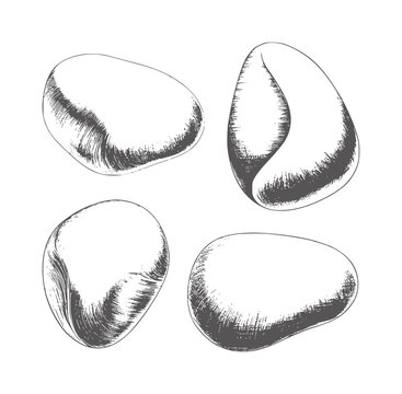 Four pencil of smooth pebbles stone rock monochrome grey