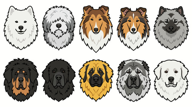 Collection of ten different dog breed portraits vector illustration.