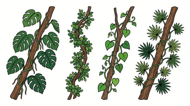 Set of hand drawn jungle tree branches with tropical leaves and climbing vines.