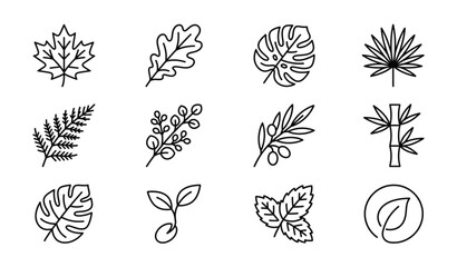 Premium Leaf Thin Line Icon Set © Prodip