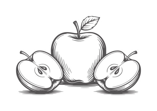 Whole and halved apples in a sketchy black and white style fruit