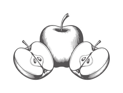 Whole and halved apples in a vintage style fruit