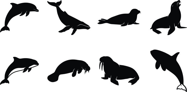 Marine Mammals Silhouette Set Vector Illustration of Whales Dolphins and Seals for Commercial Design