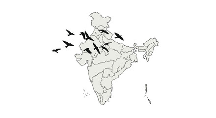 Conceptual India Map Silhouette with Flying Birds © Wita