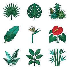 Tropical leaves and plants collection. © Kasimun