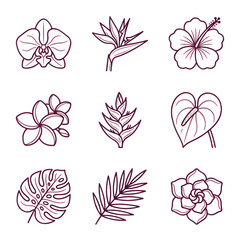 Tropical flower line art illustrations. © Kasimun
