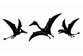 Black silhouette flying pterosaurs vector illustration set featuring prehistoric pterodactyl quetzalcoatlus and rhamphorhynchus dinosaurs isolated on white background, © Abdullahall