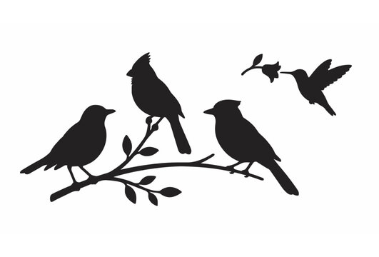 Black silhouette songbirds vector illustration set featuring perched cardinal blue jay robin and flying hummingbird isolated on white background,