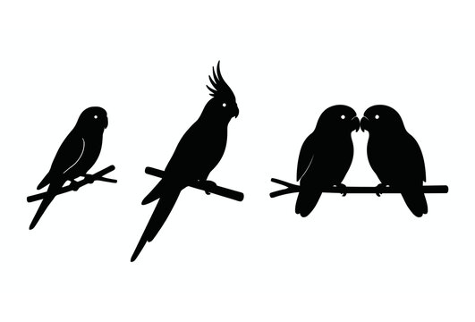 Black silhouette pet parrots vector illustration set featuring perched parakeet cockatiel and loving couple of lovebirds isolated on white background,