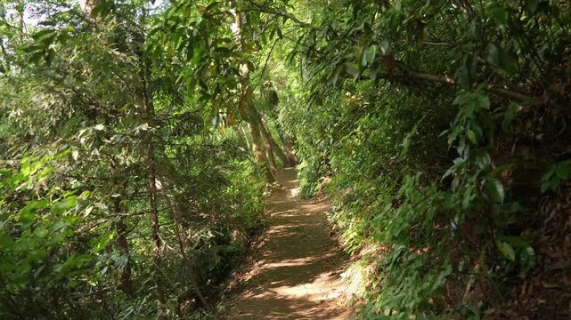 POV視点で高尾山の四号路を歩く