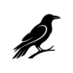 Fototapeta premium A crow silhouette perches on a branch in a natural setting.
