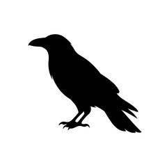 Fototapeta premium A black silhouette of a crow standing on ground facing left side