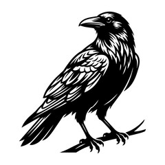 Fototapeta premium A black raven perches on a branch in a forest environment.