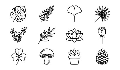 Natural botanical vector icon set with simple bold line art classic monstera leaf fern frond eucalyptus branch flower and plant clip art black and white © GULSHAN