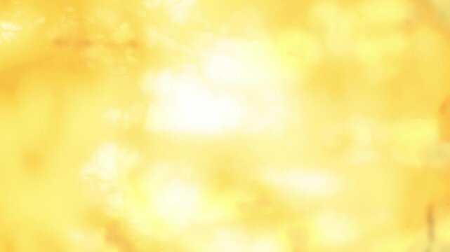 Yellow background shadow leaves pastel brown abstract backdrop summer naturedesert, template travel luxury design wallpaper surface display for presentation product cosmetic, minimalist pattern