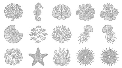 Ocean Life Illustrations: Seahorse, Jellyfish, Starfish, Corals, Shells & Brain Coral © Puput