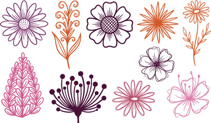 Fototapeta premium Hand Drawn Botanical Line Art Flower and Leaf Element Set with Cute Swirl Branches and Daisies for Organic Logo Designs Vector Illustration