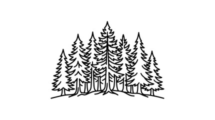 Obraz premium Detailed group of evergreen pine trees line art.