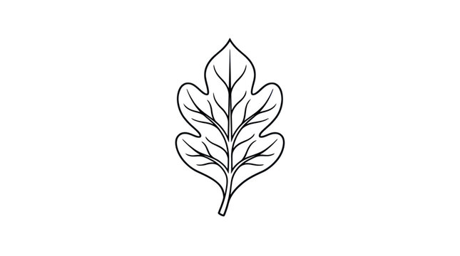 Detailed oak leaf line art illustration