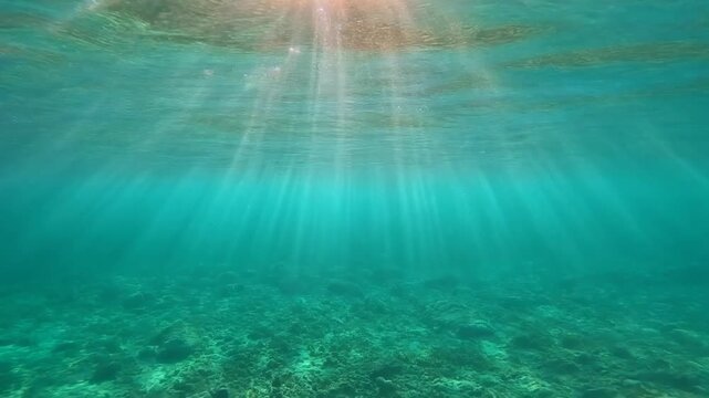 Sunbeams piercing through crystal clear blue water 4K Generative AI