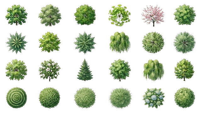 Hand Drawn Watercolor Top View Trees and Shrubs Vector Collection for Landscape Renderings