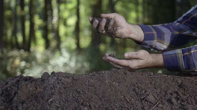 Hands holding fertile soil close-up. Checking soil. Dirty clay and organic fertilizer. Eco farming with natural soil. Gardener planting seed in humus. Farmer testing topsoil. Hands pouring soil.