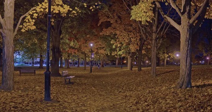 Warm lamps glow over a deep path buried in leaves, while a distant walker and small dog disappear into the quiet autumn park.