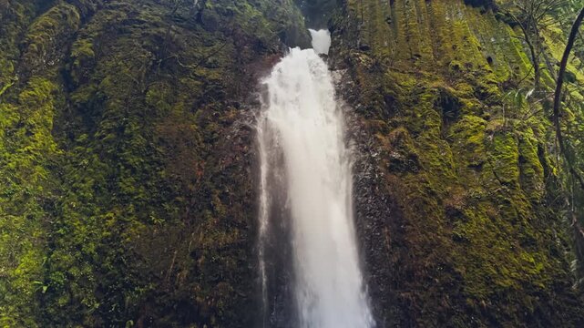 Tall waterfall plunging between moss covered basalt cliffs in lush forest gorge, tilt down, Dry Creek Falls Oregon