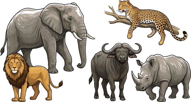 African big five wildlife illustration set featuring elephant lion leopard rhinoceros and buffalo isolated on white background for safari tourism marketing banners